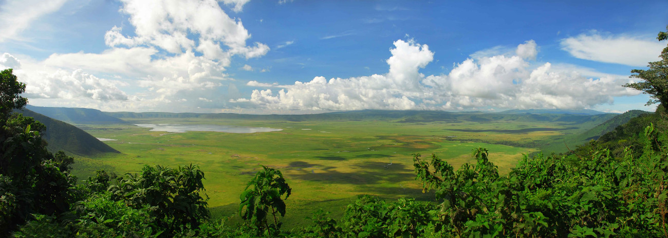 Game Drive Experience